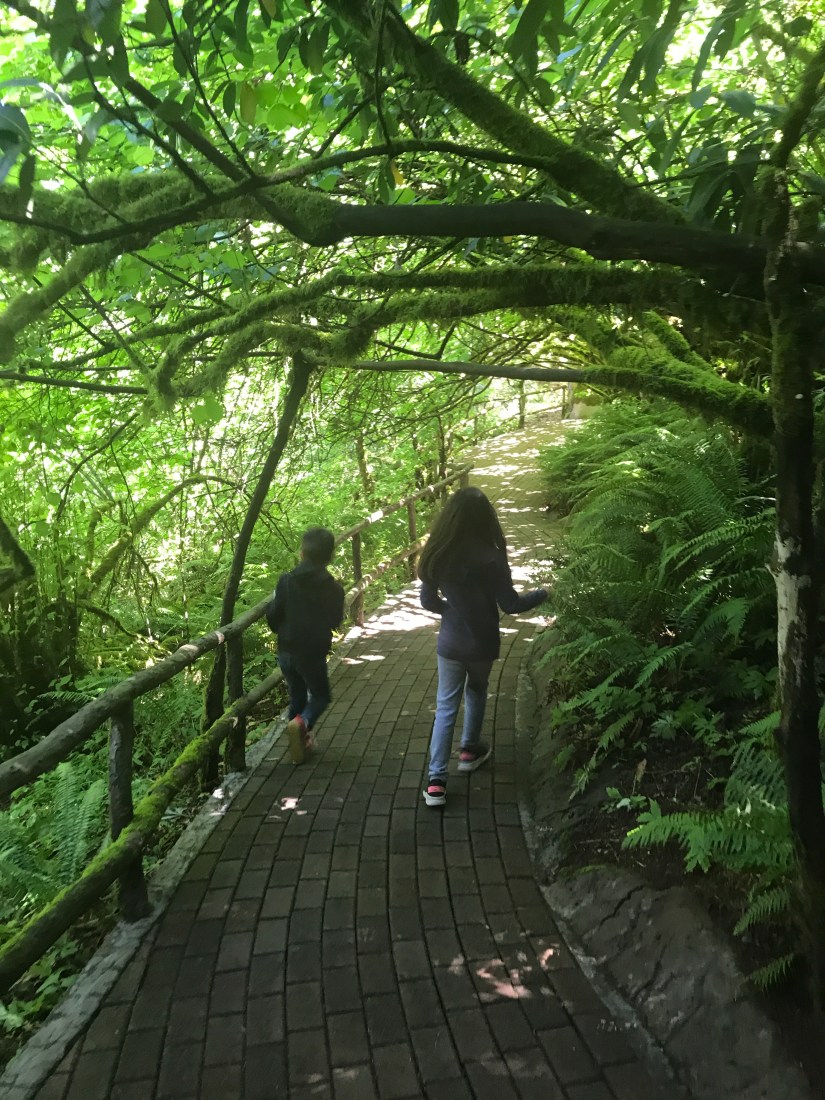 2019-06-28_14-12-47_650